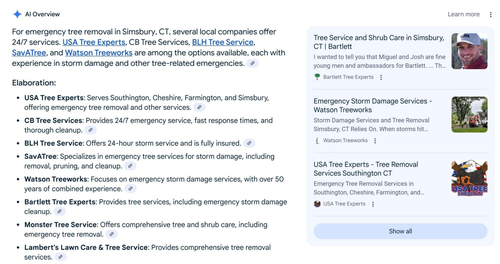 USA Tree Experts appearing in Google AI Overview for emergency tree removal in Simsbury CT